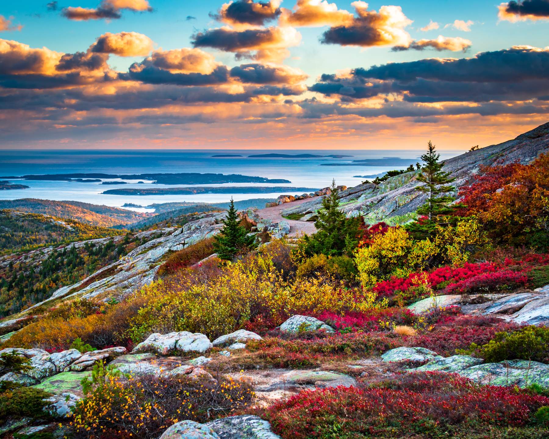 A scenic landscape with colorful foliage, rocky terrain, and evergreen trees overlooking a calm body of water and distant islands under a partly cloudy sky at sunrise or sunset.