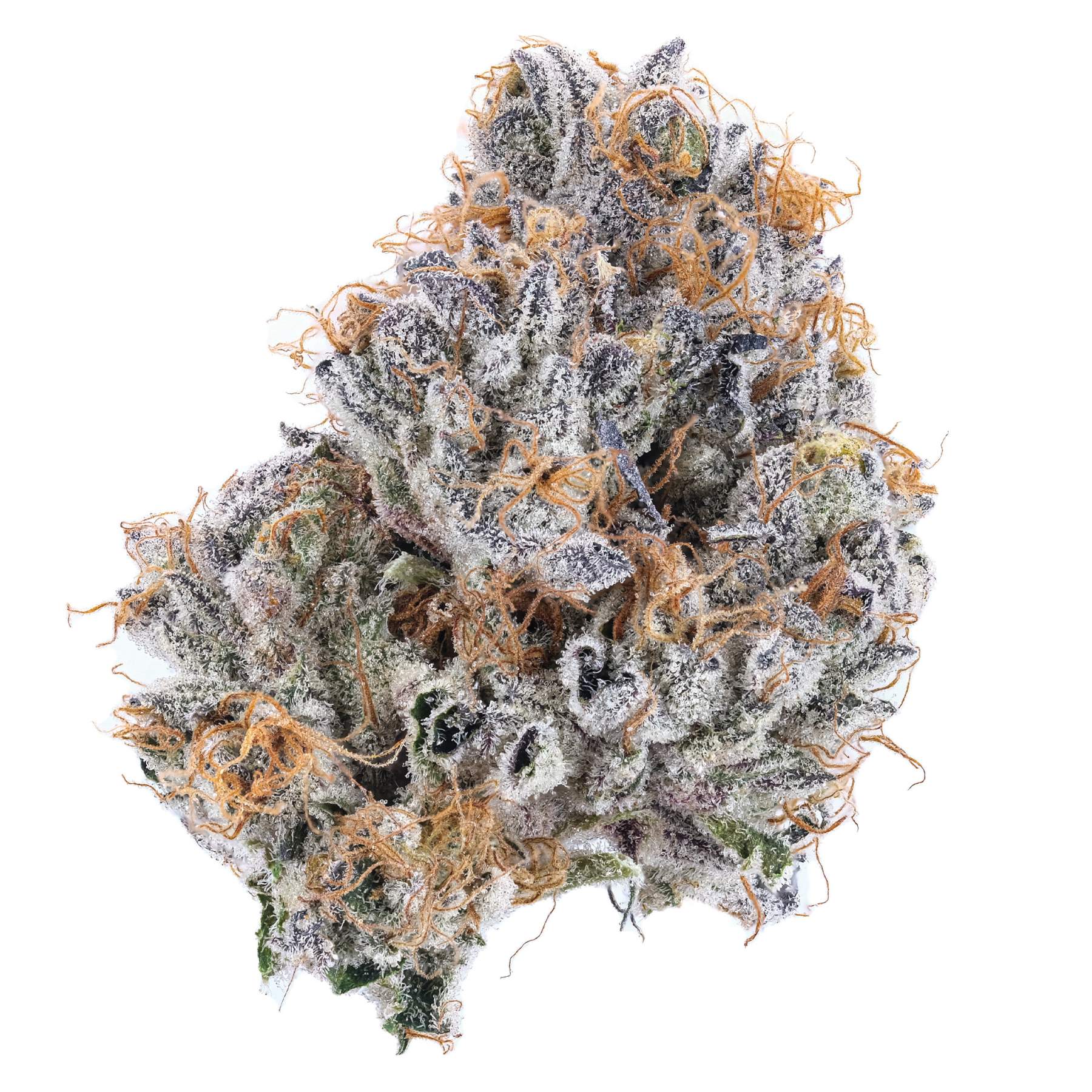 Recreational Cannabis Lebanon, ME Recreational Marijuana Store York