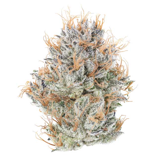 Buffalo-Soldier Cannabis Flower