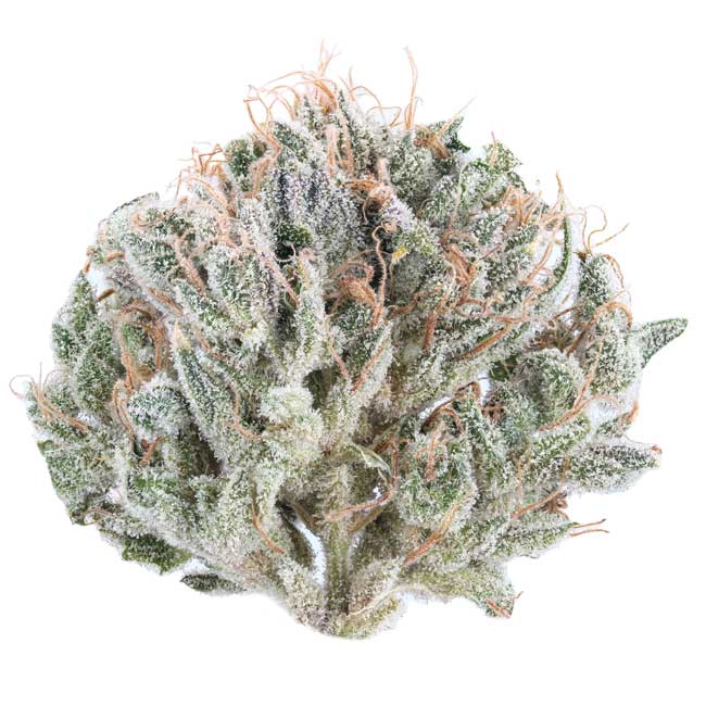 Ghost-Train-Haze Cannabis Flower