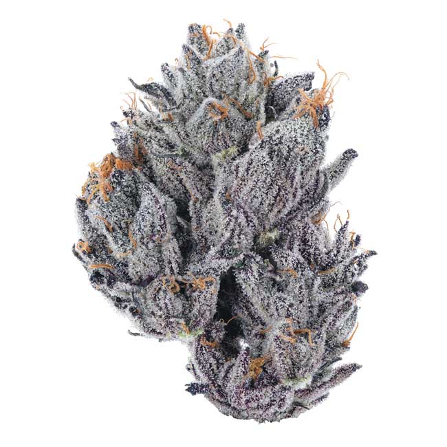 Project-4516 Cannabis Flower
