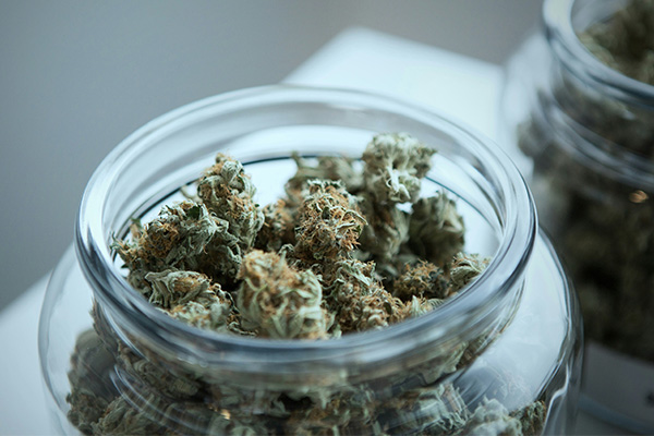 Jar filled with cannabis buds