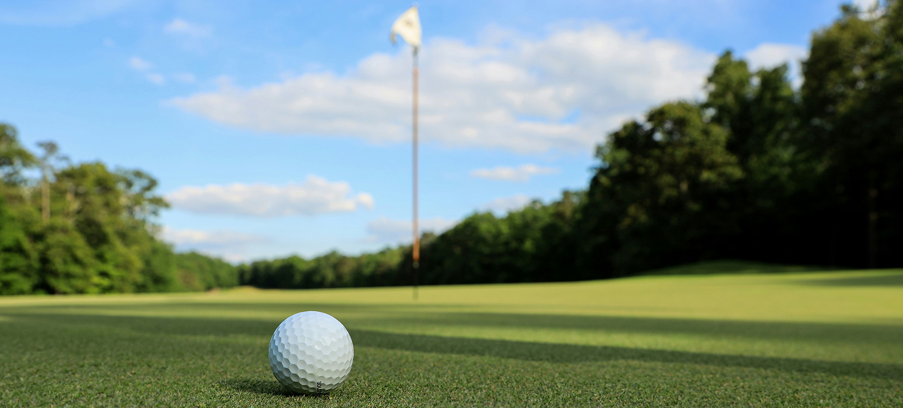 Golf ball on a golfing green with the tee in the background.
